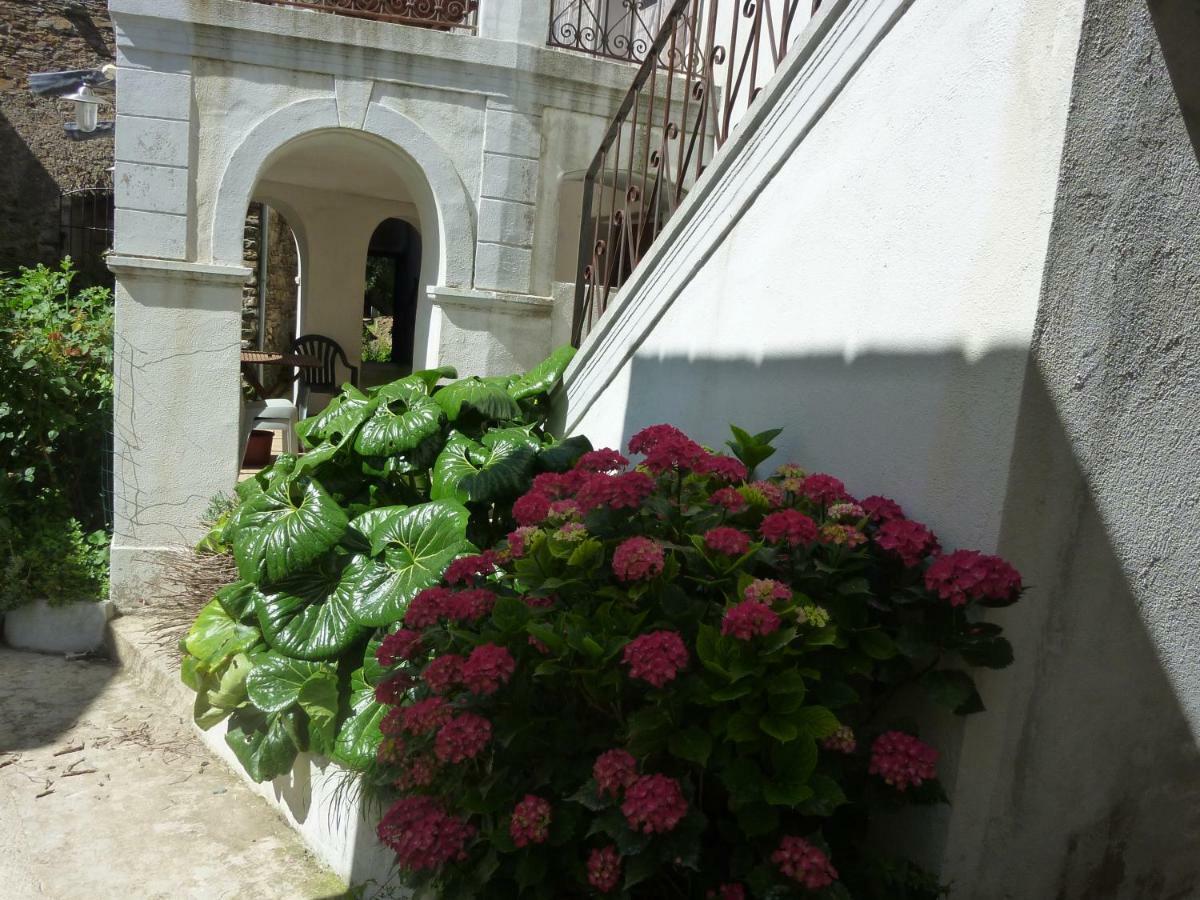 Casale Lucrezia Bed & Breakfast Cagnano Exterior foto